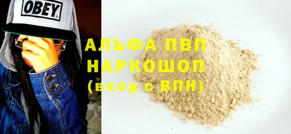 тгк Богданович