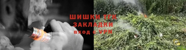 тгк Богданович