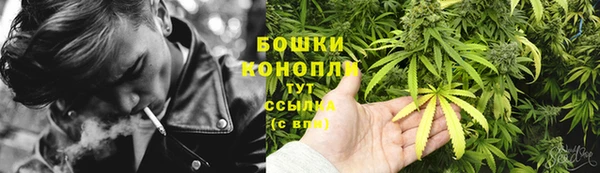 тгк Богданович