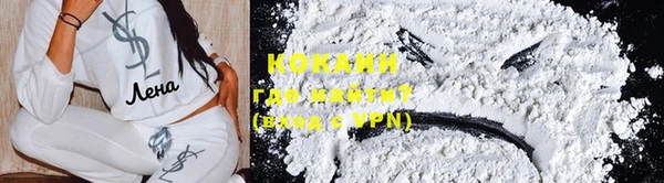 тгк Богданович